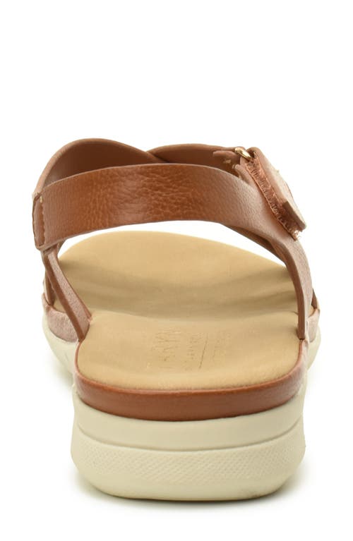 Taryn Rose Lasercut Slide Sandal In Tan