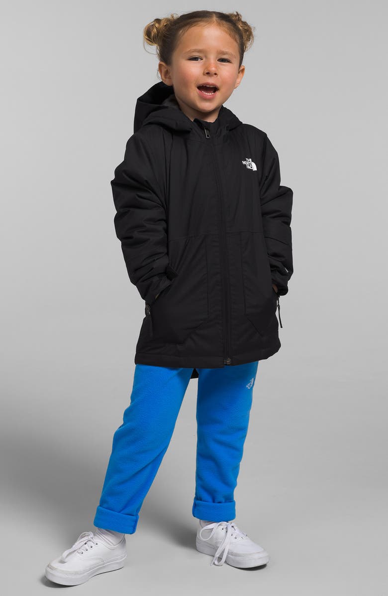 The North Face Kids' Freedom Insulated Waterproof Hooded Jacket, Alternate, color, 