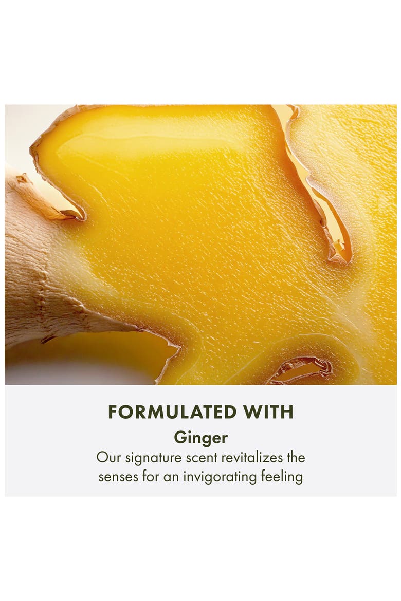 Ginger Burst™ Savory Body Wash, Alternate, color, NO COLOR