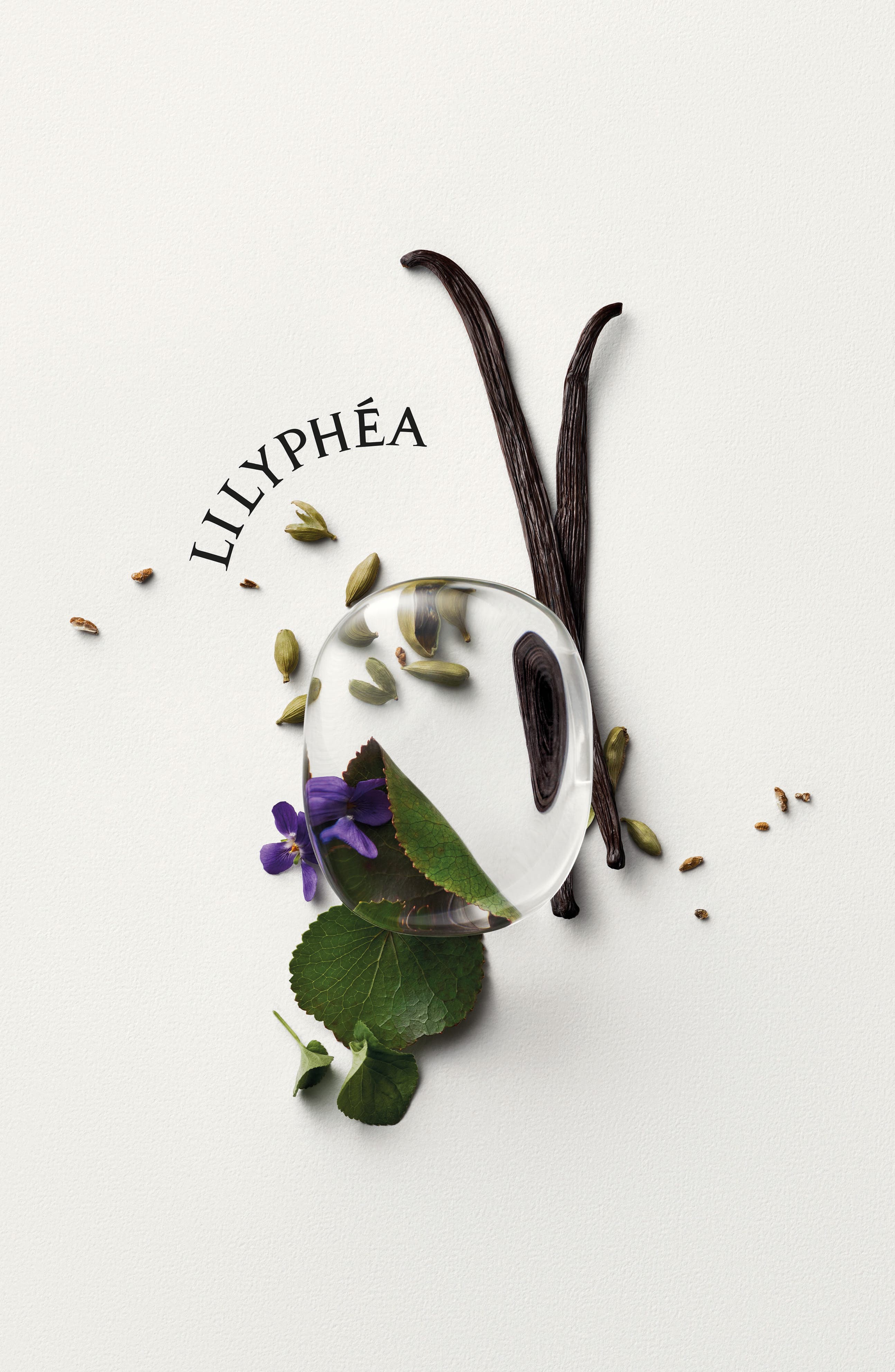 新品　ディプティック　LILYPHÉA (リリフェア) オーデパルファム10ml Diptyque Lilyphéa Eau de Parfum (Women) | Nordstrom