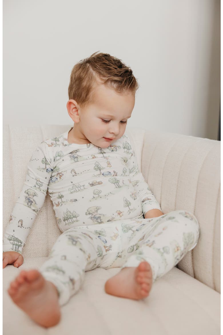 Hundred Acre Woods Fitted Two-Piece Pajamas, Alternate, color, HUNDRED ACRE WOOD