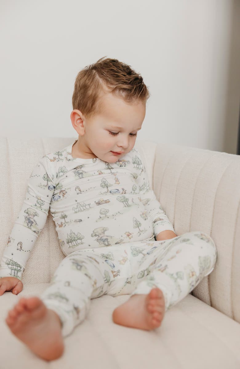 Copper Pearl Hundred Acre Woods Fitted Two-Piece Pajamas, Alternate, color, Hundred Acre Wood