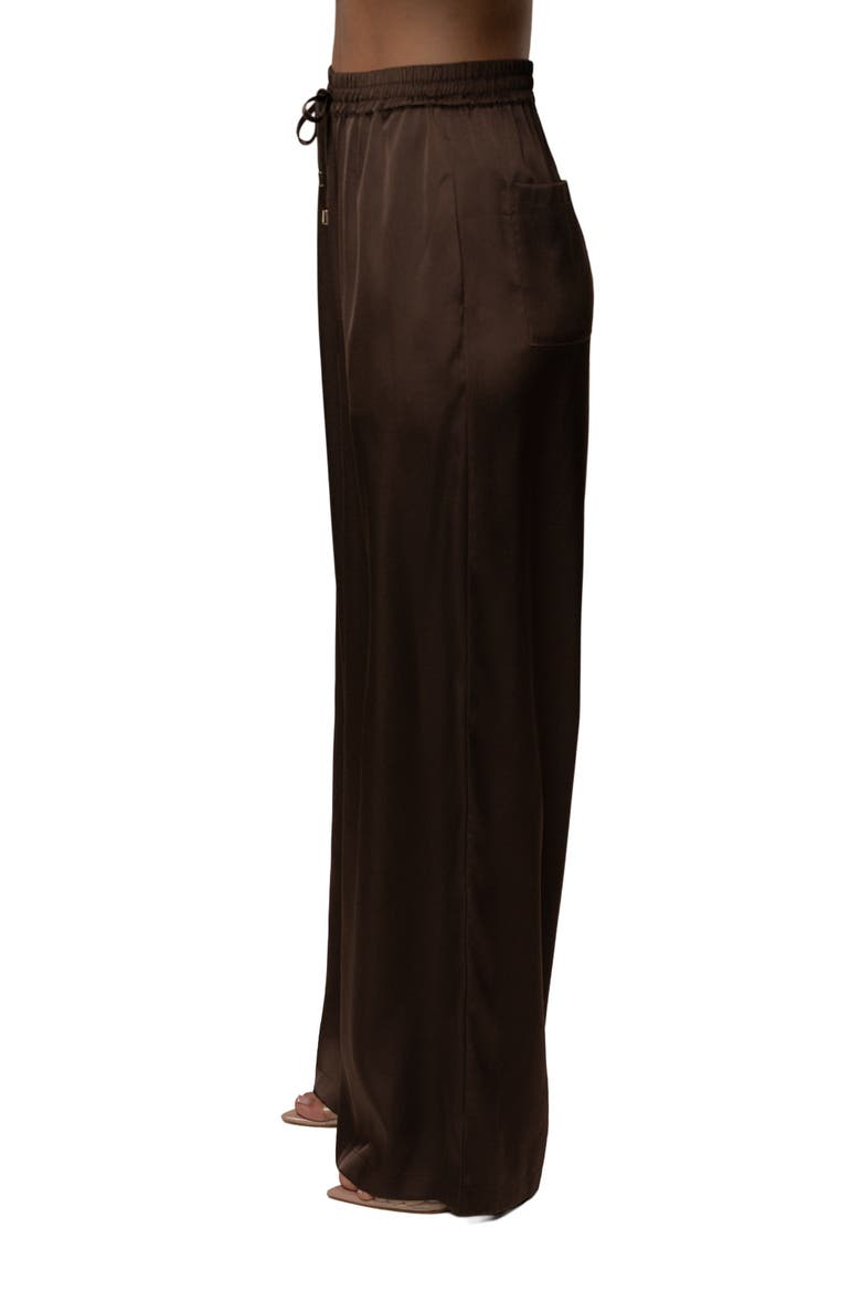 Sunny Day Drawstring Pants, Alternate, color, Chocolate