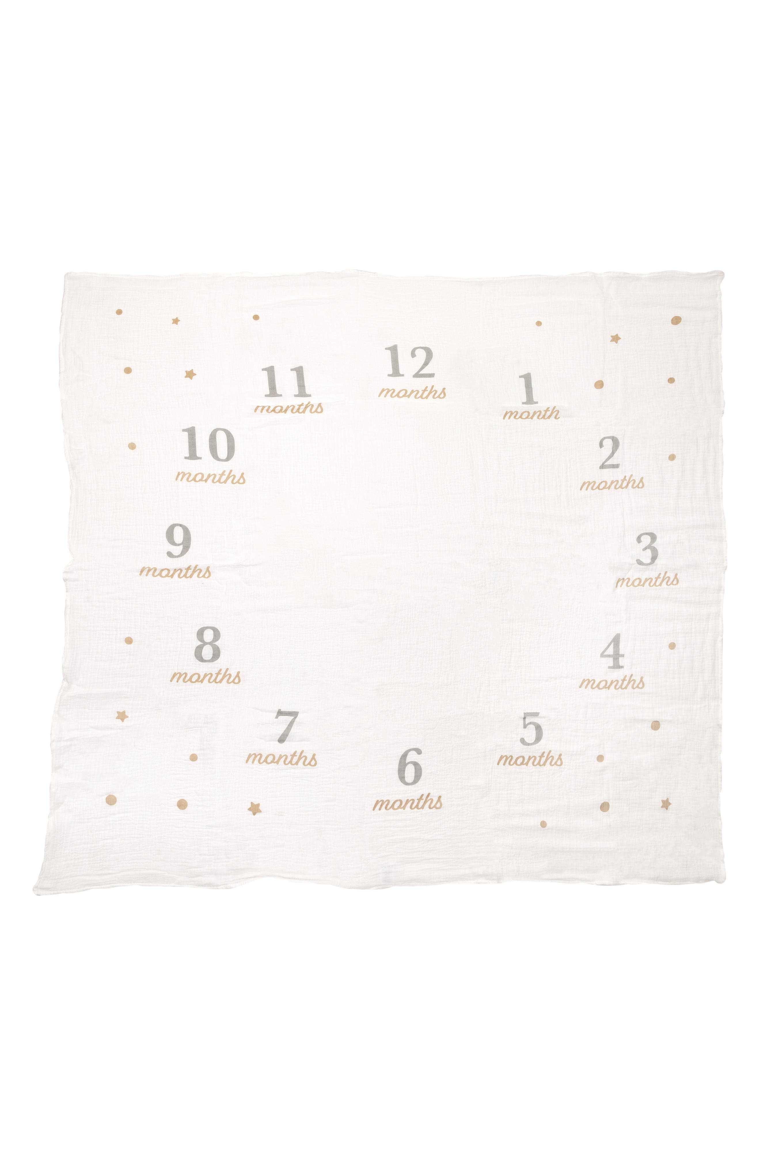 Milestone Blanket and Prop Set