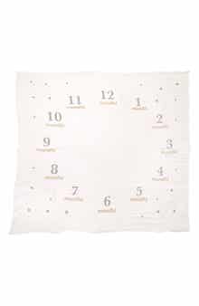 Milestone Blanket and Prop Set