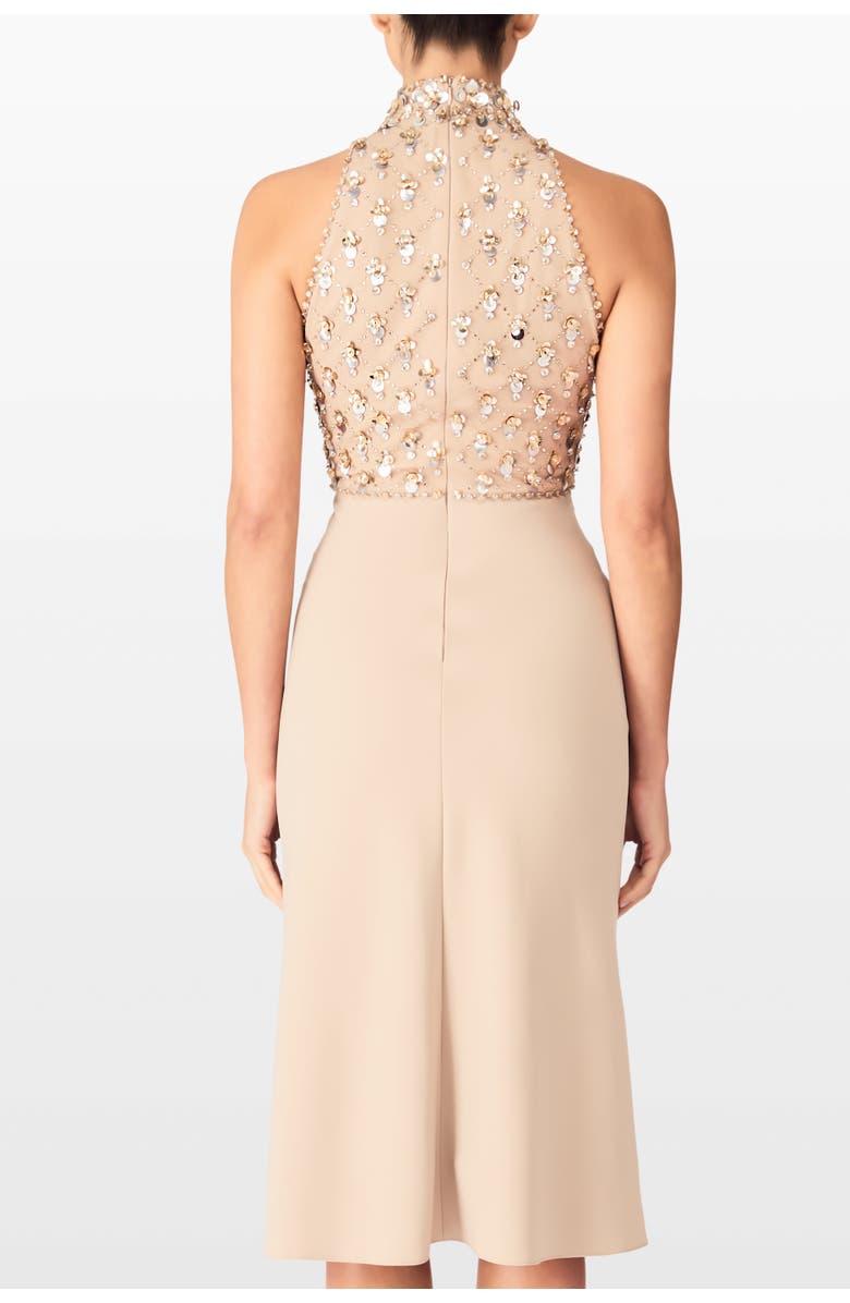 Jenny Packham Aurelia Dress, Alternate, color, Cashmere