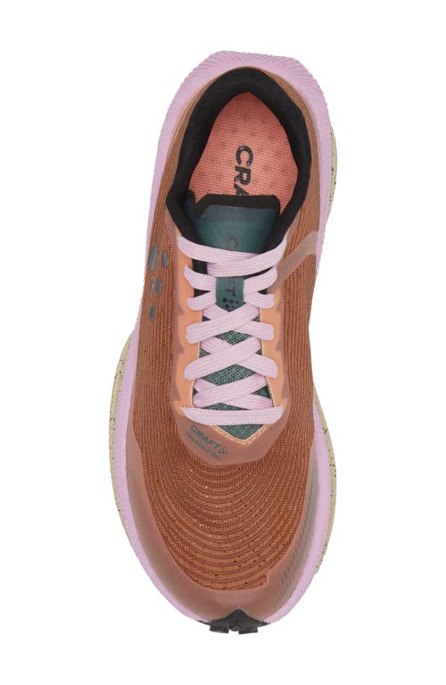 Craft Endurance Trail Running Shoe In Multi