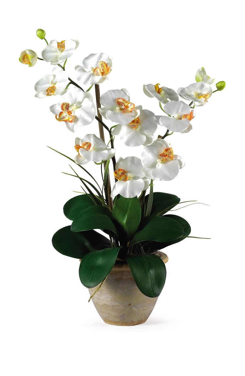 NEARLY NATURAL Double Phalaenopsis Silk Orchid Flower Arrangement - Natural, Main, color, Natural