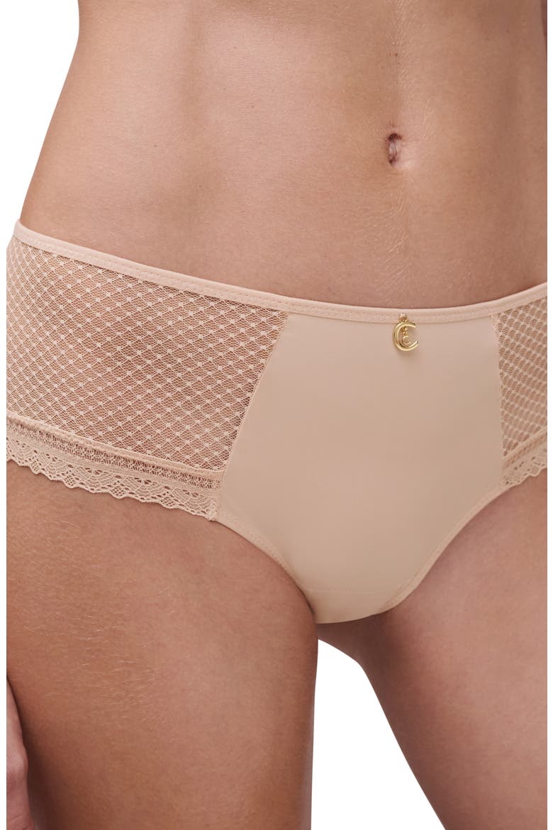 Lace Trim Tulle & Microfiber Briefs, Alternate, color, BEIGE BLUSH