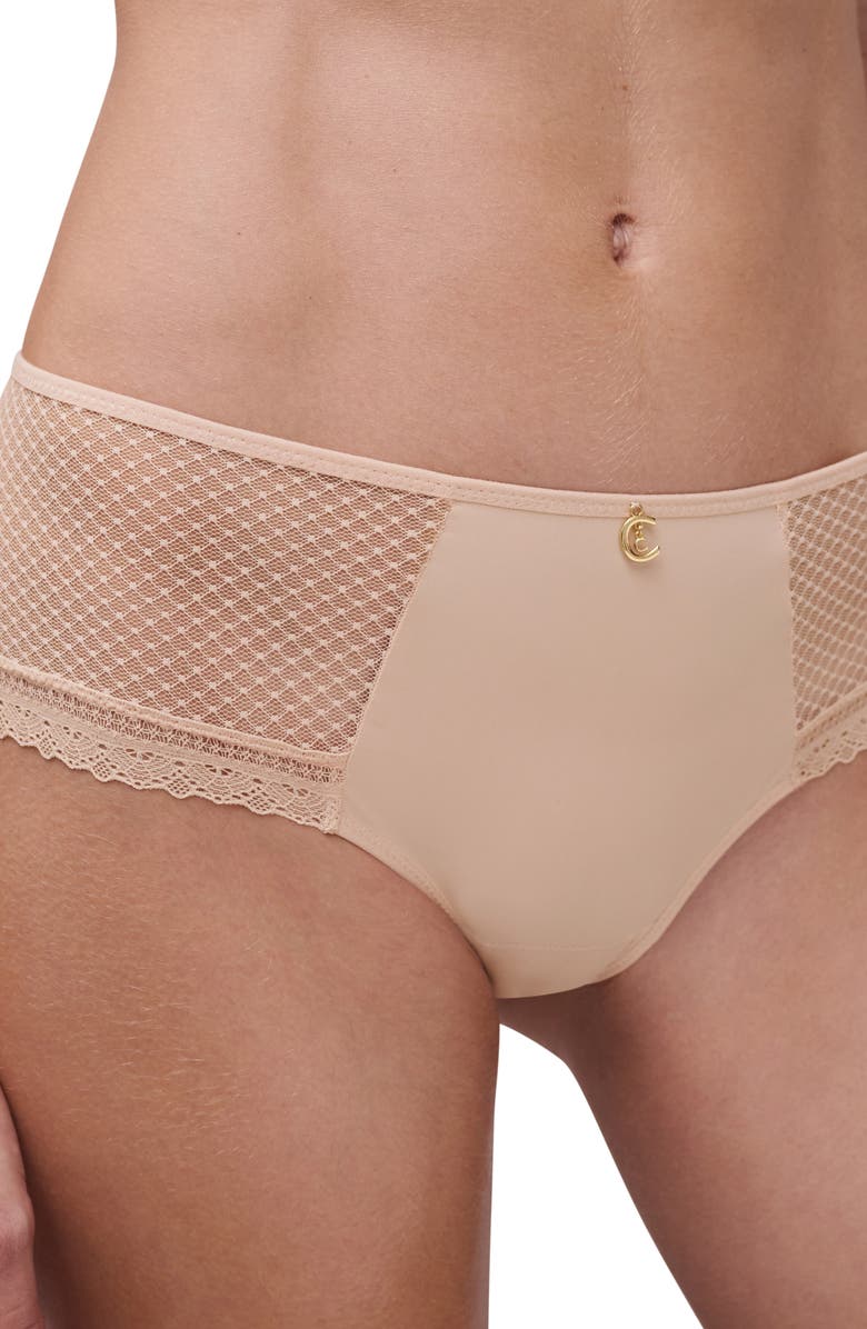 Chantelle Lingerie Lace Trim Tulle & Microfiber Briefs, Alternate, color, Beige Blush