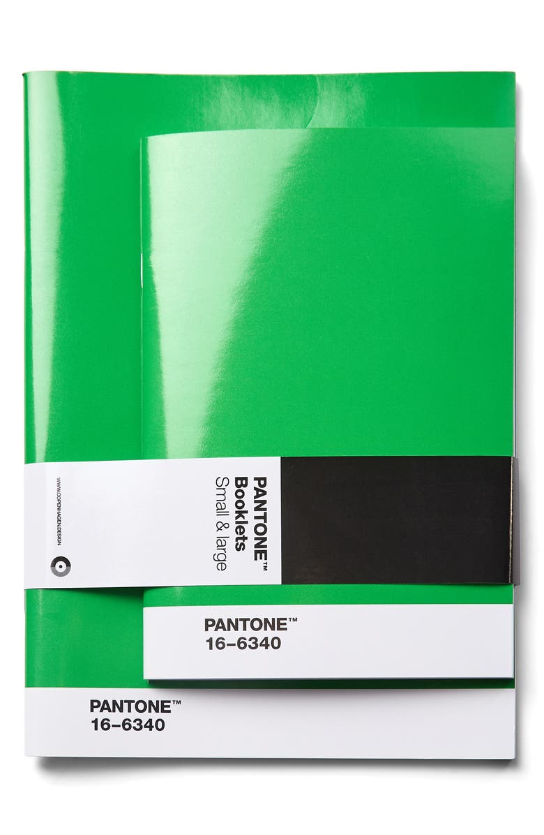 PANTONE Pack of 2 Dotted Booklets, Main, color, Green 16-6340