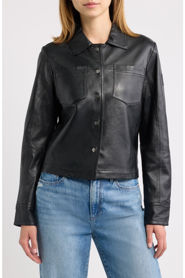 Lefei Leather Jacket, Alternate, color, BLACK/ BLACK