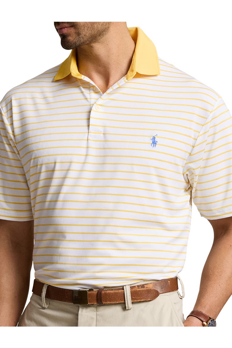 Big & Tall Striped Performance Polo Shirt, Alternate, color, CERAMIC WH SNFSH YLW