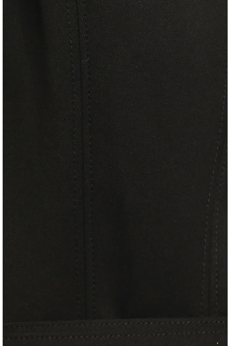 Seamed Sleeveless Belted Fit & Flare Dress, Alternate, color, BLACK