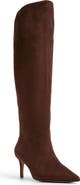 ALDO Kaylynn Pointed Toe Knee High Boot