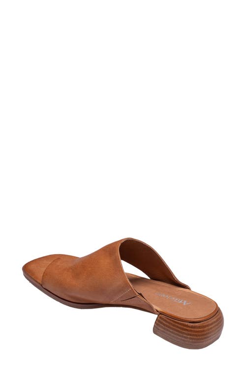 Antelope Laden Sandal In Taupe