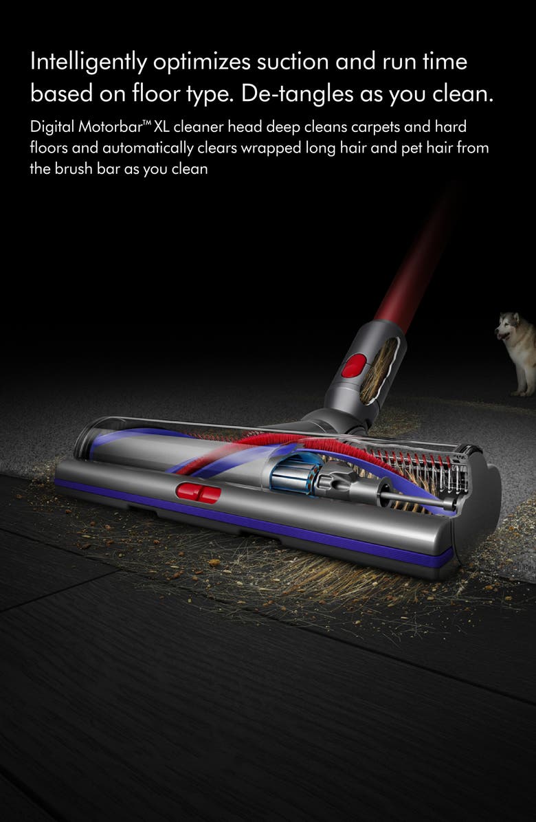 Dyson Outsize+ Cordless Vacuum, Alternate, color, 