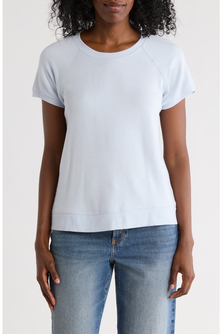 Raglan Sleeve Fleece T-Shirt, Main, color, ICE BLUE