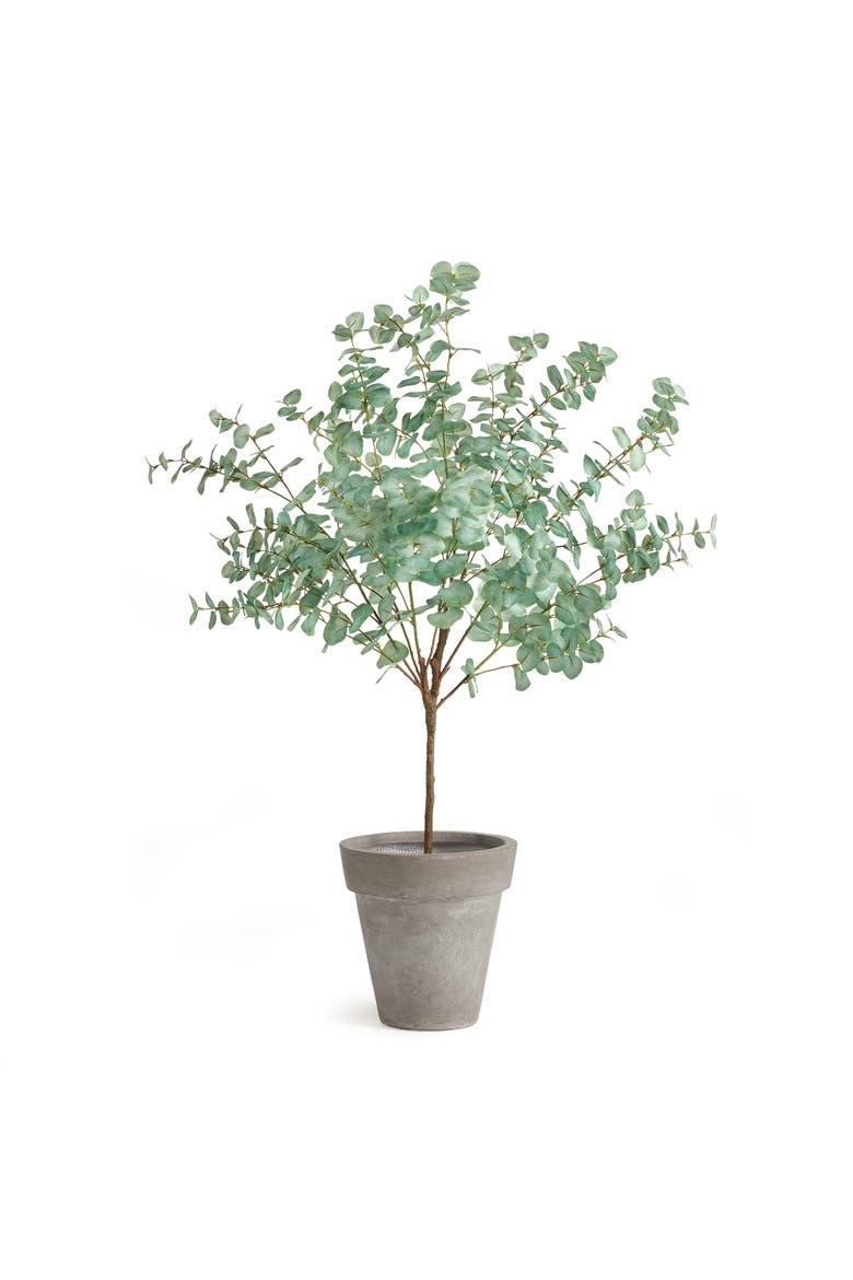 Eucalyptus Tree Drop-In, Alternate, color, Green