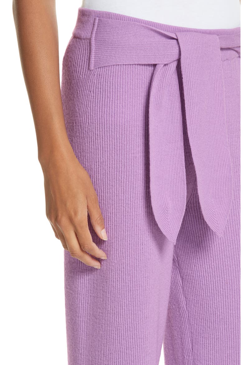 Tigre Merino Wool & Cashmere Blend Pants, Alternate, color, LAVENDER
