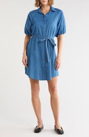 Trove New York Puff Sleeve Denim Shirt Dress