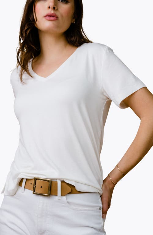 Able Meghan Drapey V-neck Tee In Almond