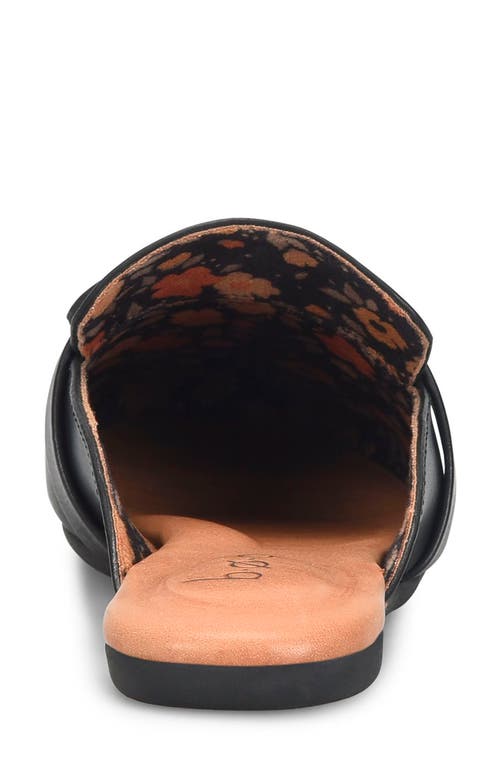B O C By Børn Pia Buckle Mule In Black