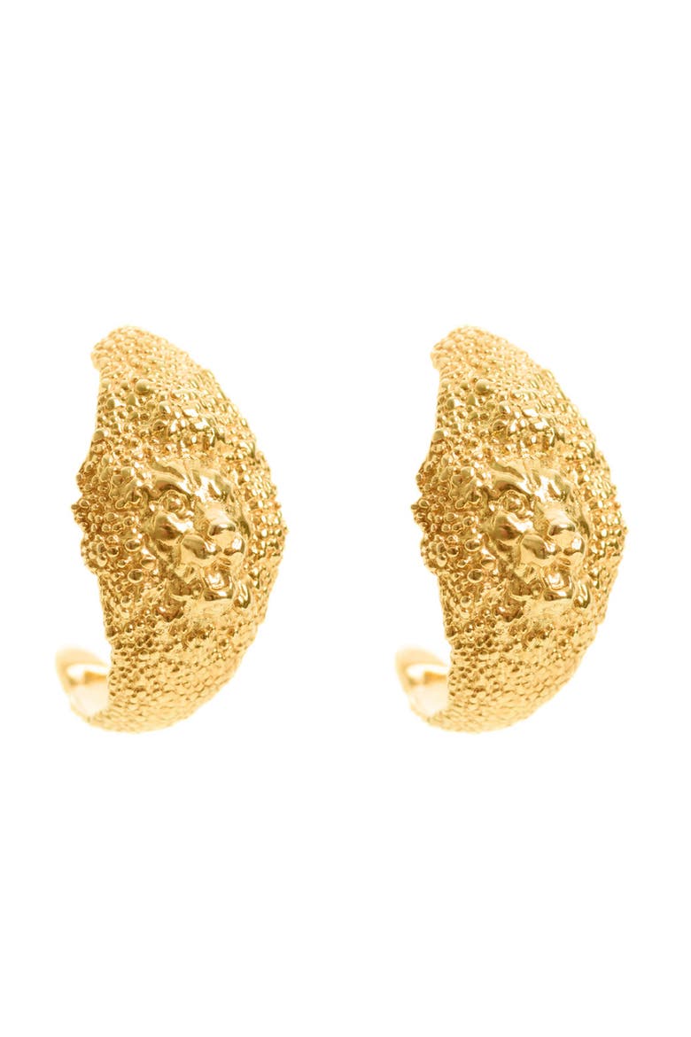 Lion Hoops, Main, color, Gold