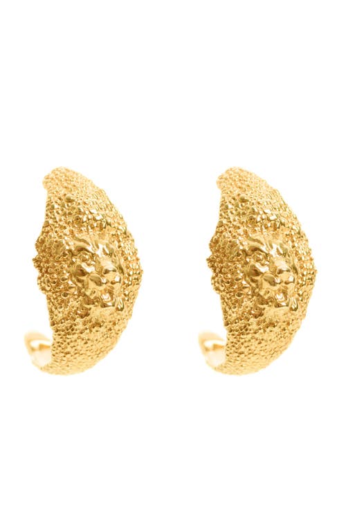 Freya Rose Lion Hoops In Gold