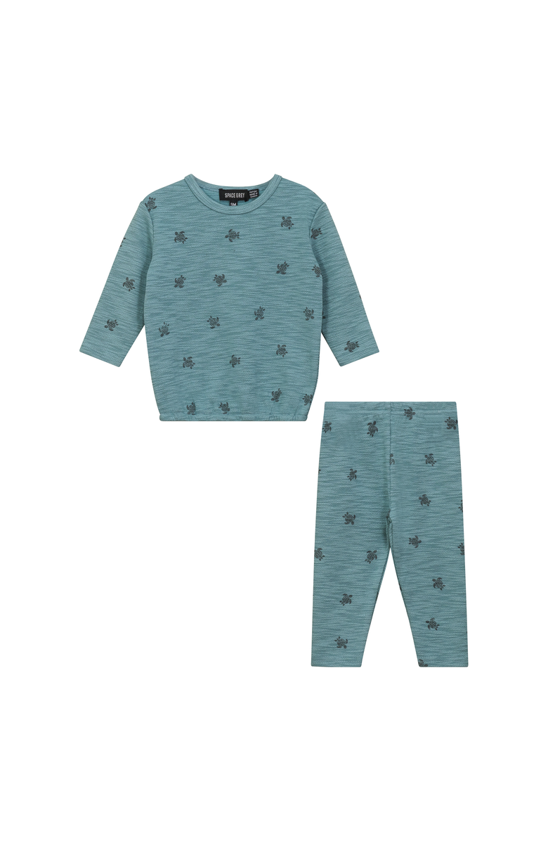 Space Grey Butterfly Turtle Printed Top and Pants Set, Main, color, Seafoam
