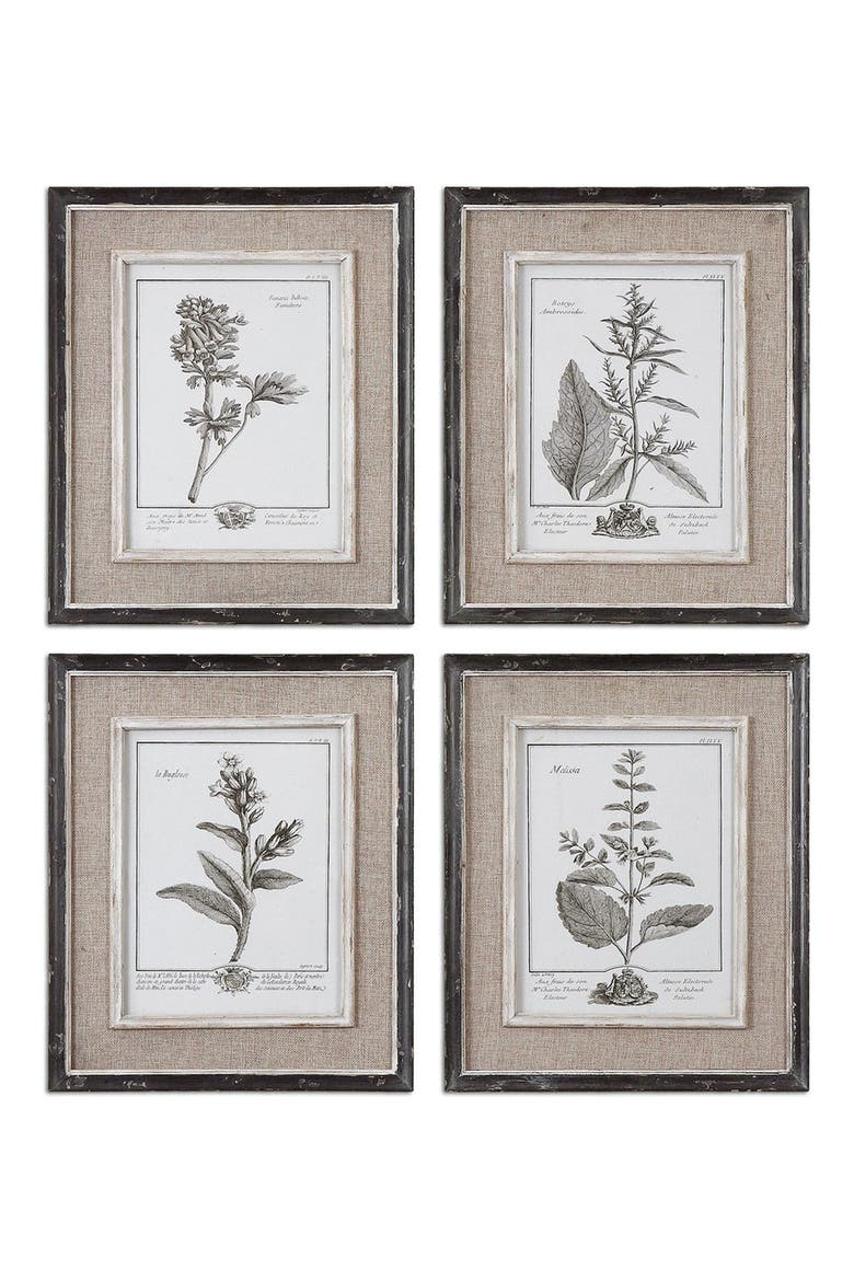 Casual Grey Study Set of 4 Botanical Prints, Main, color, WHITE