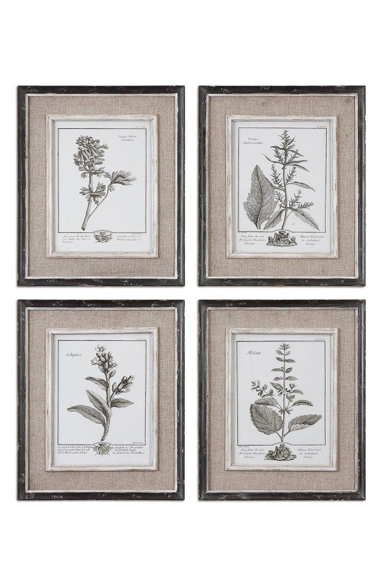 Uttermost Casual Grey Study Set of 4 Botanical Prints, Main, color, 
