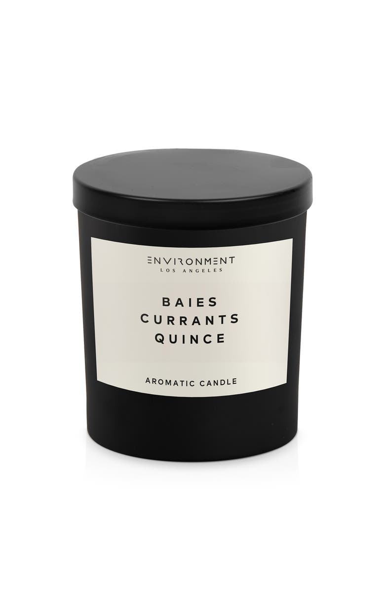 ENVIRONMENT Inspired by Designer Perfume Candle, Alternate, color, Inspired By Diptyque Baies