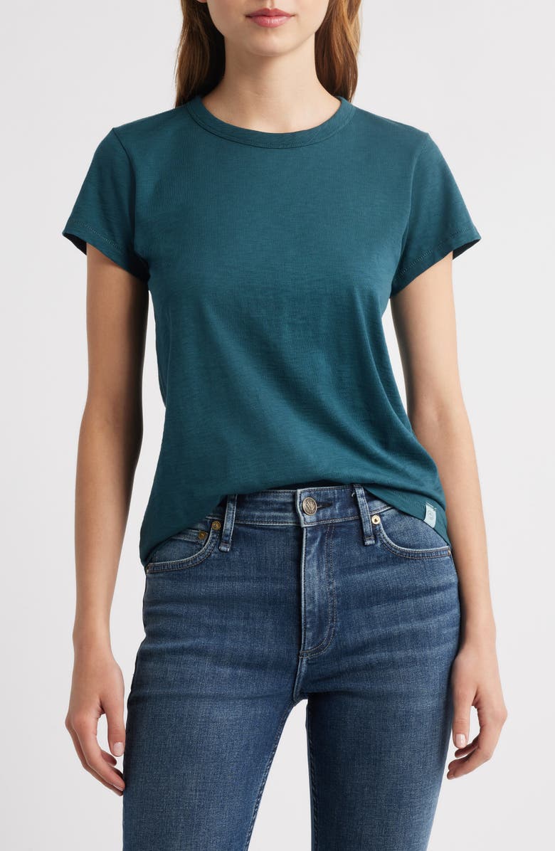 rag & bone The Slub Organic Pima Cotton T-Shirt, Main, color, Drktl