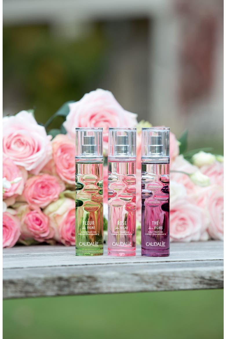 Rose de Vigne Fresh Fragrance, Alternate, color, NO COLOR