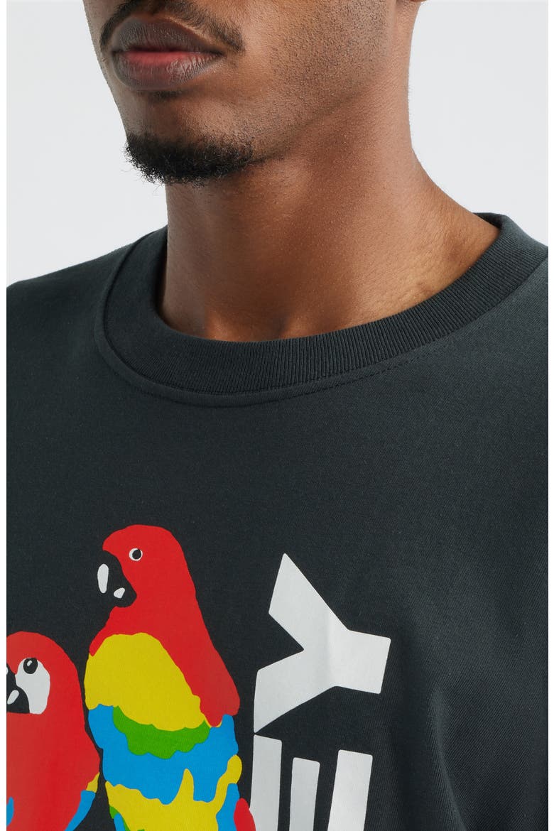 Parrots Graphic T-Shirt, Alternate, color, VINTAGE BLACK