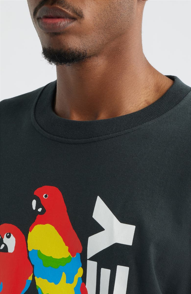 Obey Parrots Graphic T-Shirt, Alternate, color, Vintage Black