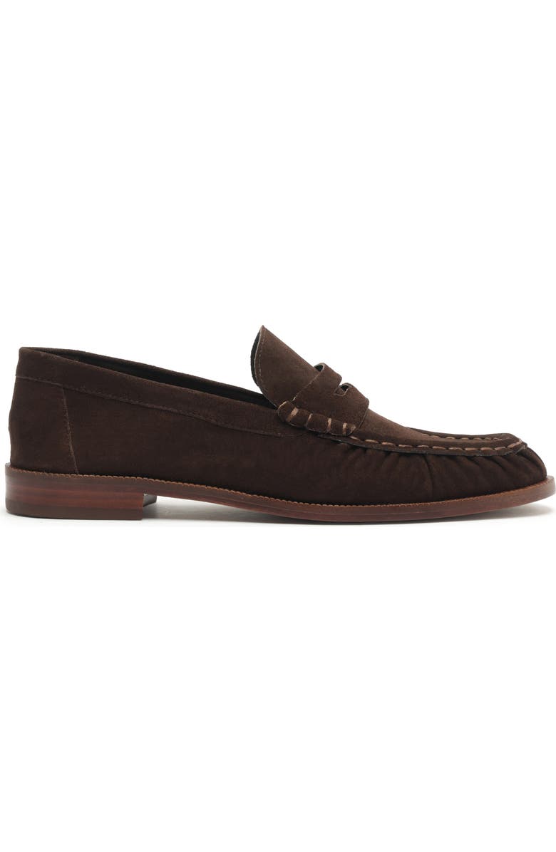 Schutz Tyche Penny Loafer, Alternate, color, Dark Brown