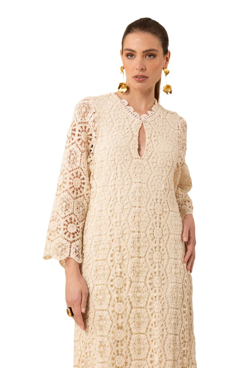 Hale Bob Amirah Crochet Maxi Dress, Alternate, color, 