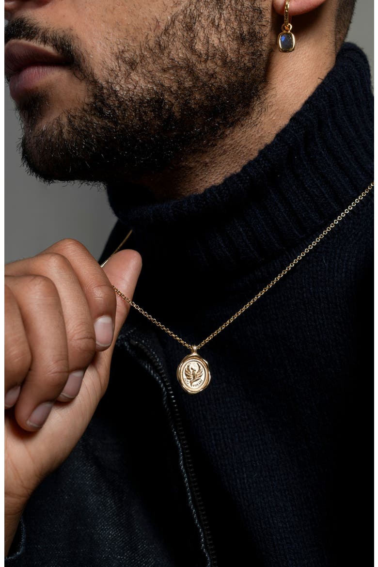Men's 'Fly High' Phoenix Talisman Necklace, Alternate, color, Yellow Gold Vermeil