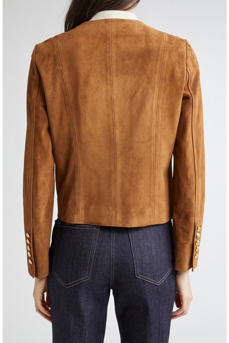 Nanon Suede Jacket, Alternate, color, MARTORA