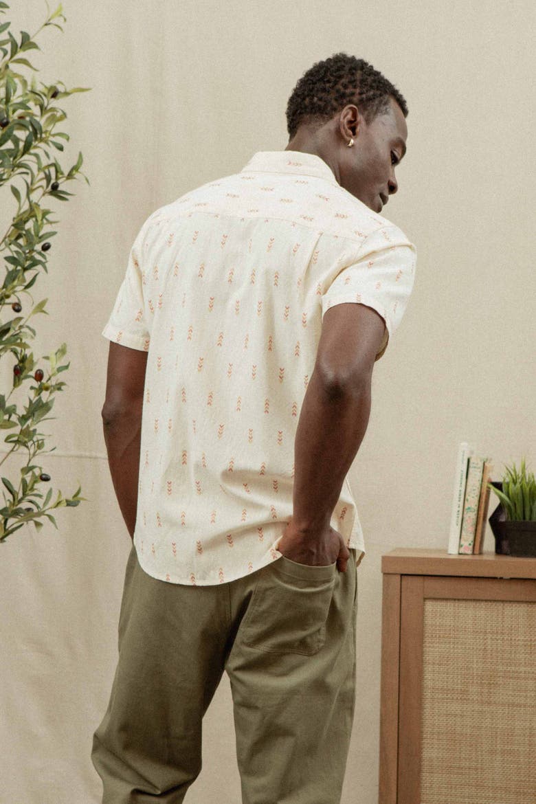 Collins Slim Shirt, Alternate, color, Dune Chevron