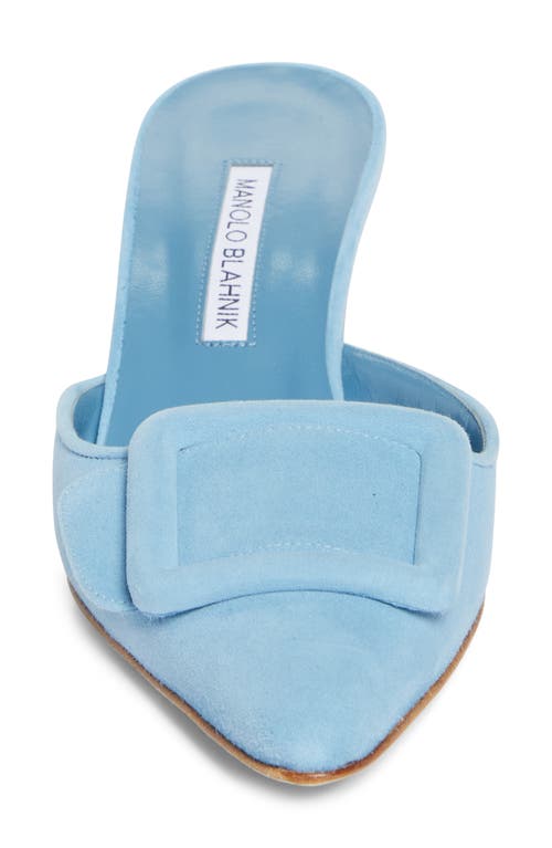 MANOLO BLAHNIK MANOLO BLAHNIK MAYSALE BUCKLE POINTED TOE MULE
