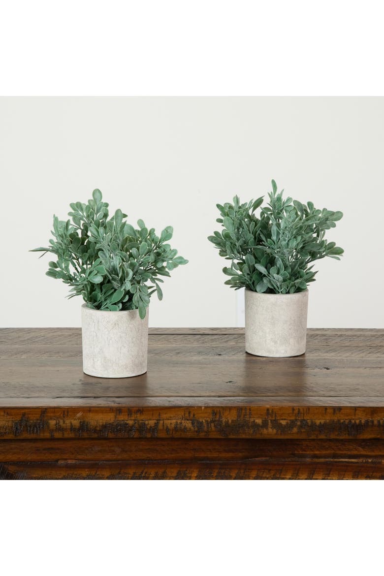 8-in Artificial Boxwood in Decorative Planter - Set of 2, Alternate, color, Green