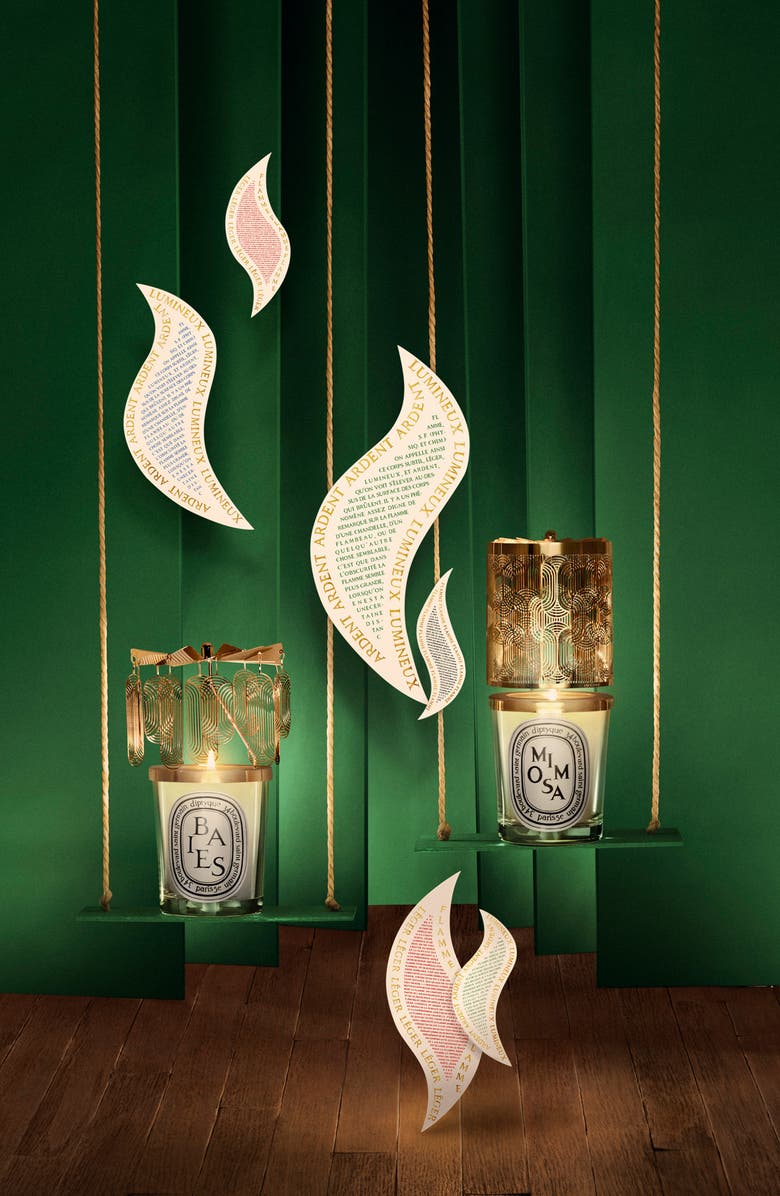 Diptyque Baies (Berries) Scented Candle & Carousel Gift Set, Alternate, color,