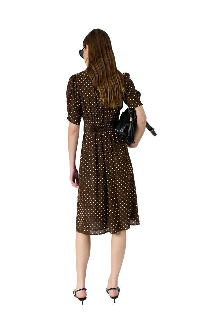 Rohya V-Neck Polka Dot Midi Dress, Alternate, color, Brown