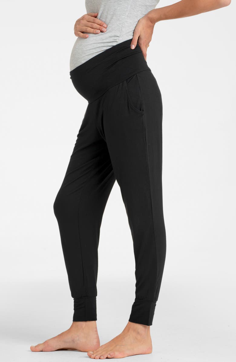 Seraphine Short Sleeve Maternity/Nursing Longewear Set, Alternate, color, 