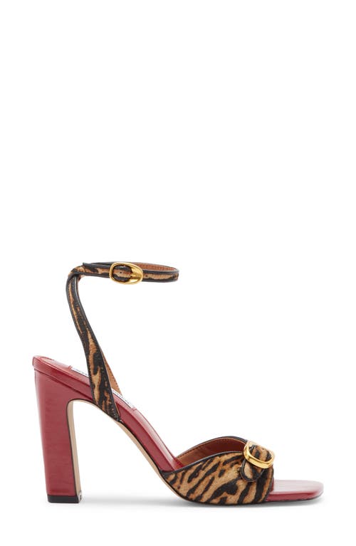 Steve Madden Lilliana Ankle Strap Sandal In Brown