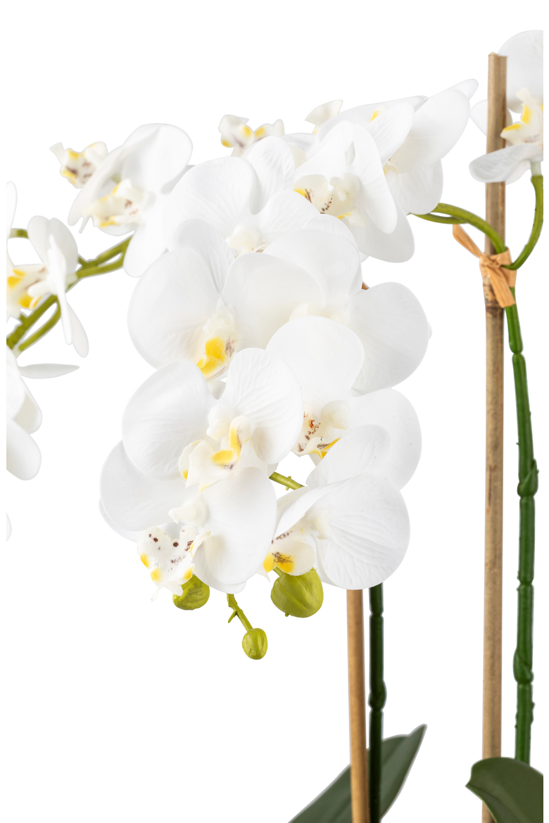 Ciara RealTouch Orchid Planter, Alternate, color, Snow