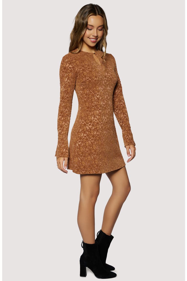 Venetian Grace Lace Long Sleeve Minidress, Alternate, color, COFFEE